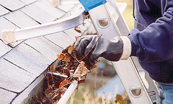 Gutter Cleaning in Rochester NY Gutter Cleaning Services in Rochester NY Cheap Gutter Cleaning in Rochester NY Cheap Gutter Services in Rochester NY Quality Gutter Cleaning in Rochester NY Gutter Cleaning in NY Rochester Gutter Cleaning Services in Rochester NY Gutter Cleaning Services in NY Rochester Gutter Cleaning in NY Rochester Clean the gutters in Rochester NY Clean gutters in NY Rochester Gutter cleaners in Rochester NY Gutter cleaners in NY Rochester Gutter cleaner in Rochester NY Gutter cleaner in NY Rochester Affordable Gutter Cleaning in Rochester NY Cheap Gutter Cleaning in Rochester NY Affordable Gutter Services in Rochester NY